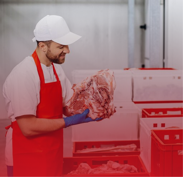 Frame 1686558490 (1)